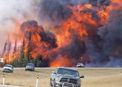 Hay 24 incendios forestales activos en 8 estados del país, incluidas 5 áreas naturales protegidas
