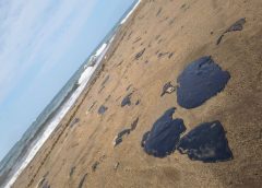 Determinan cierre de playas de Pajapan por derrame de hidrocarburos