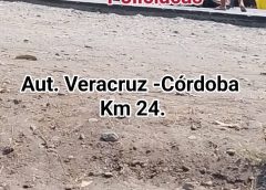 Mu3r3 motociclista tras presuntamente ser arrollado por vehículo que se dio a la fuga, en la autopista Veracruz -Córdoba.