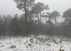 Reportan nevadas  en el cofre de Perote por paso del frente frío 41