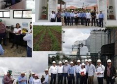 **Recorrido en Veracruz revela retos y oportunidades para la agroindustria azucarera**