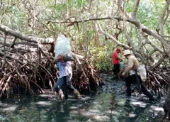 Denuncian derrame de petróleo en Veracruz afecta 630 kilómetros de litoral del gofo de México