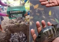 Familias denuncian como afecta la mancha de contaminación por refinería Dos Bocas 