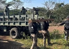 Asegura FGR madera ilegal en San Andrés Tuxtla, Veracruz.