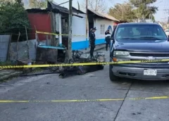 Reportan saldo de 2 personas calcinadas tras registrarse incendio de un domicilio en Nogales, Veracruz.