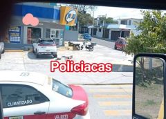 At4qu3 @rm4do en tienda de conveniencia de Boca del Río deja un hombre sin vida; agresores huyen.