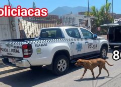 Tras hallazgo de cuerpo sin vida de doctora residente del IMSS, dentro de vivienda en Orizaba; Fiscalía ya investiga.