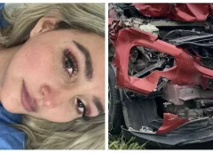 Choca influencer con su camioneta contra vaca en autopista de Veracruz.