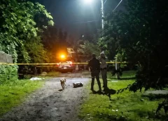 Atacan a joven comerciante con m4ch3t3 y le qu1t4n la v1d4 en una localidad de Ixtaczoquitlán, Veracruz.