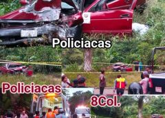 Un fall3cido y tres personas lesionadas tras fuerte accidente en Fortín; vehículo terminó contra una palmera