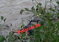 Hallan a una persona sin vida, flotando en un río de Alvarado; autoridades realizan las investigaciones
