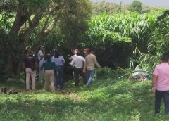 SEDEMA, Ayuntamiento de Atoyac, productores y organizaciones ambientales acuerdan acciones tras derrame de vinaza.
