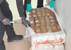 Autoridades federales reportan aseguramiento de varias toneladas de m3t4nf3t4m1n@ ocultas en costales de alimento para ganado.