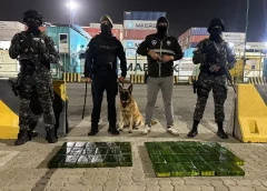 Autoridades federales aseguran más de 4 toneladas de coc4ín4 y desmantelan laboratorio; hay 16 detenidos