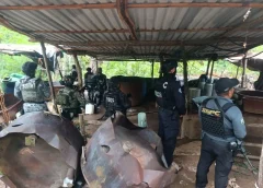 Informa Harfuch desmantelan tres laboratorios clandestinos en Guerrero; hallazgo que «sorprendió» a las autoridades.