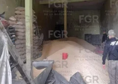 Autoridades aseguran inmueble y 22 toneladas de maíz durante operativo contra robo a transporte en Veracruz.